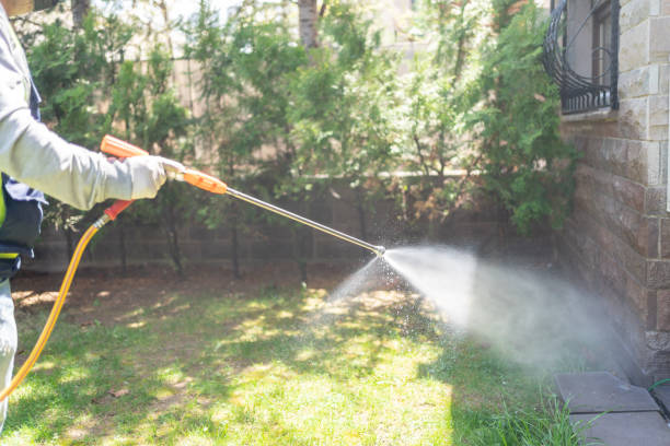 Insect Control in Aurora, SD